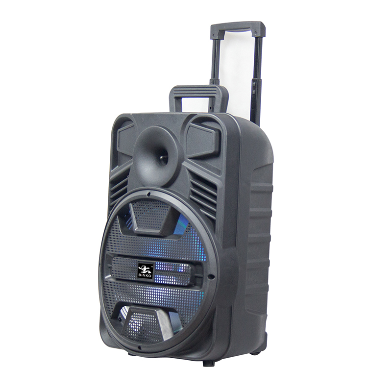 BK-A1201 High Power Sub-woofer Speaker Manufacturer.jpg