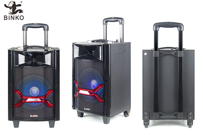 BK-T804 Portable Wooden Speaker with Trolley.jpg