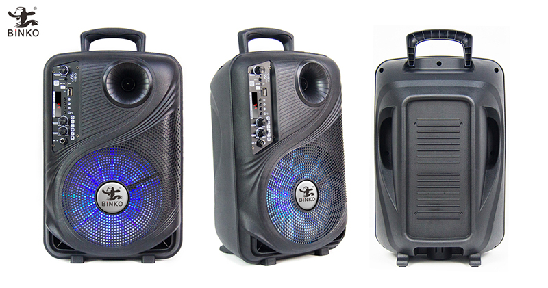 BK-N0804 Karaoke speaker Manufacture.jpg