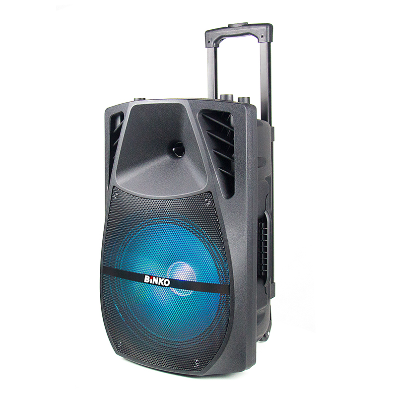 GSP-12B Speaker Manufacture.jpg