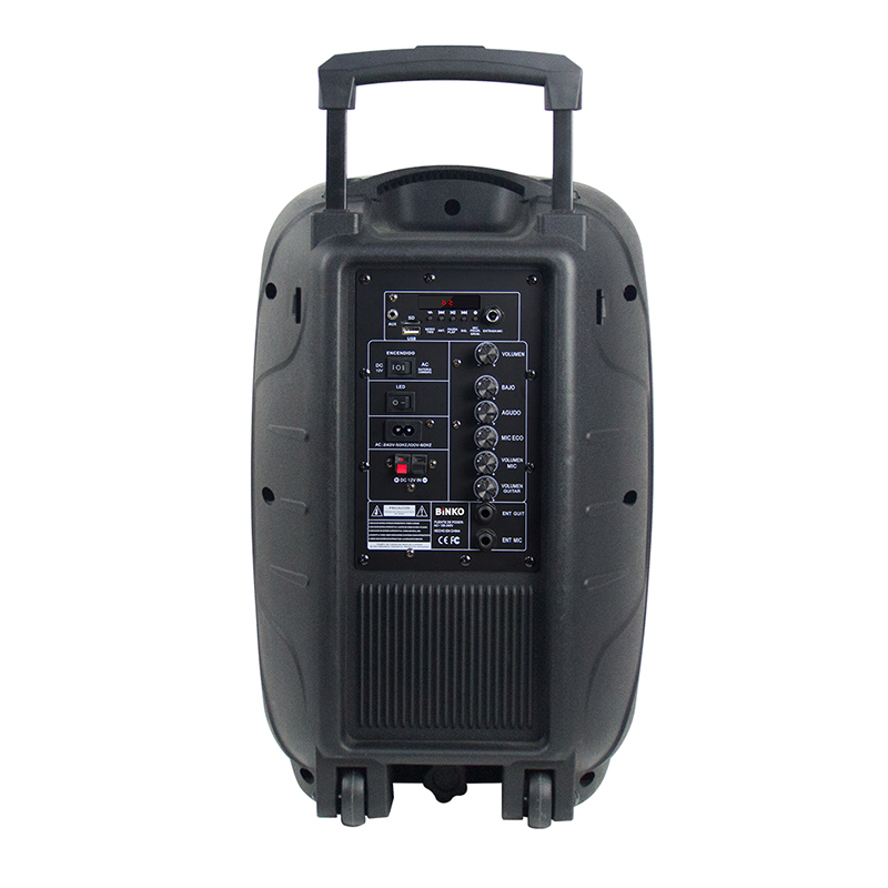 BK-2285 Professional speaker .jpg