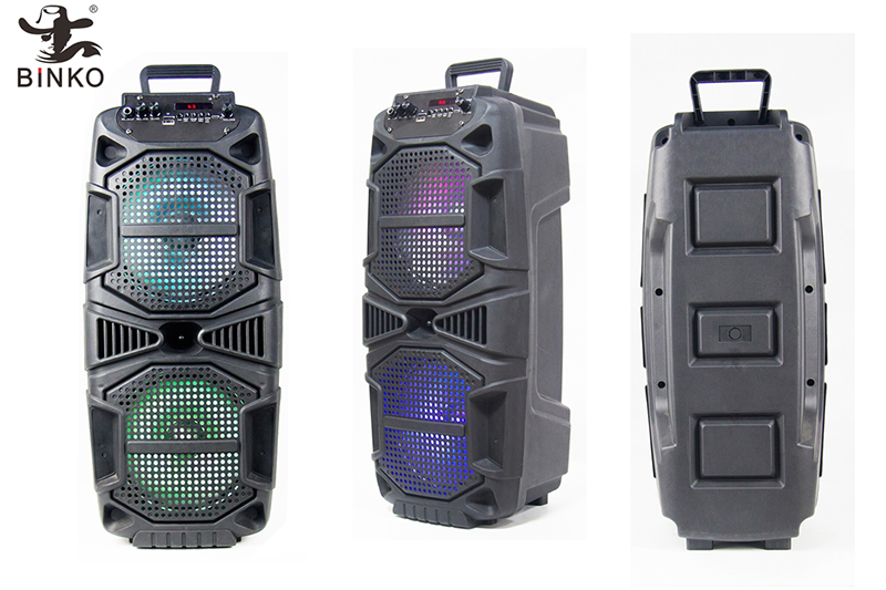BK-2824 Acoustic System Manufacturers.jpg