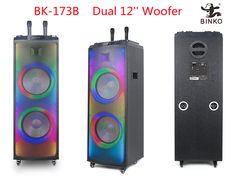 BK-173B Dual 12'' Woofer PA speaker Factory.jpg