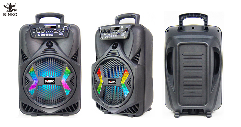 BK-N0803 Outdoor speaker Manufacturers.jpg