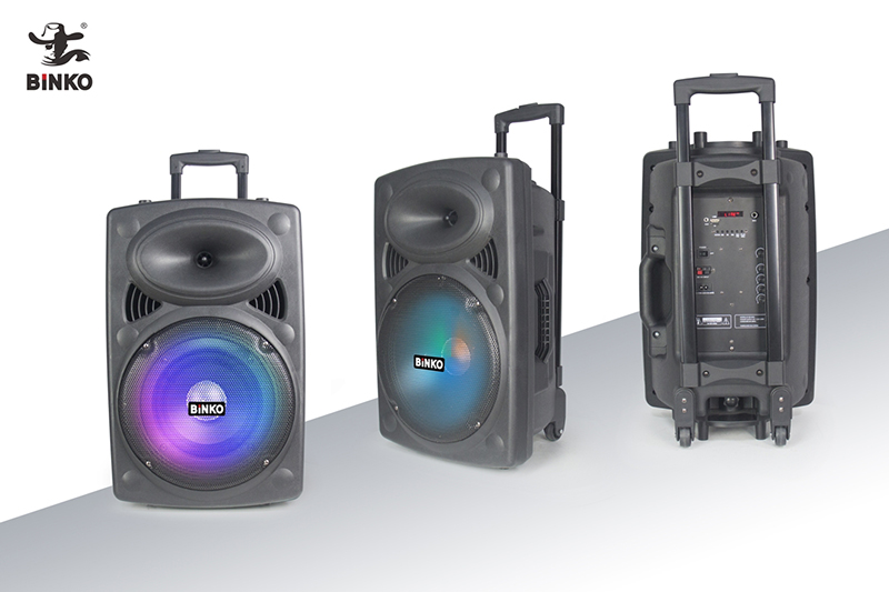 BK-T122C Yision Speaker Wholesales Manufacturer.jpg